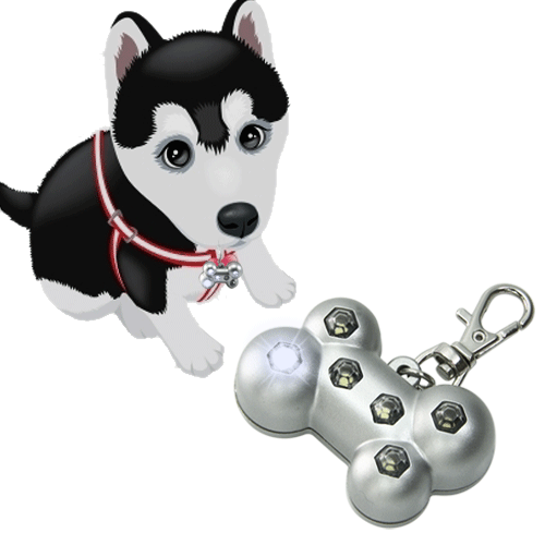 Blinking Pet Tag with 6 LED Lights(FT 0872)