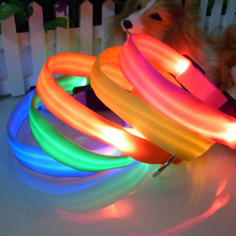 led pet collar and leash (PLC1011 )