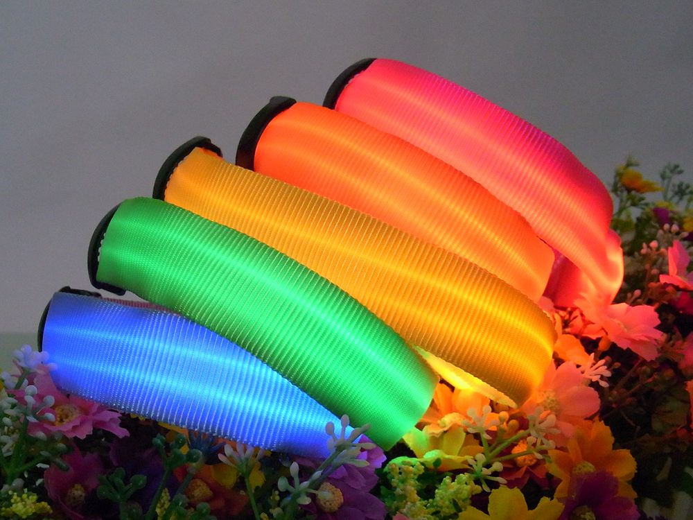 led pet collar and leash (PLC1011 )