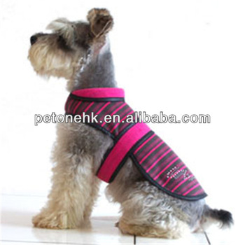 fashionable dog clothes