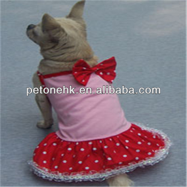 fashionable dog sex dress